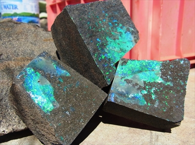 Boulder Opal Rock