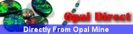 opal direct