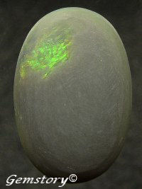 Black Opal after being frozen