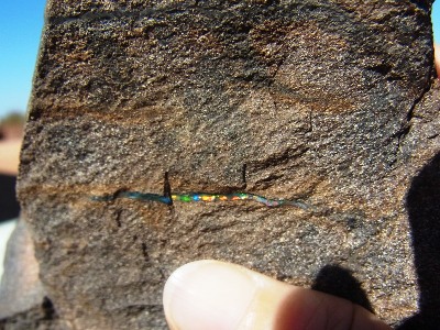 Boulder Opal rough