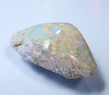 Opalised shell