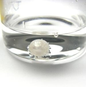 Pearl in the Vinegar