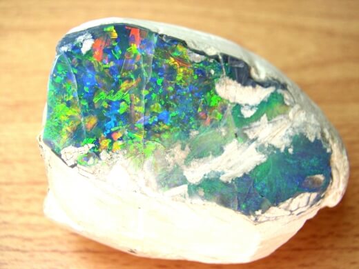 Black Opal Nobby