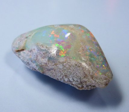 Opalised shell